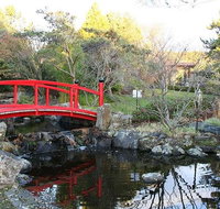 Small-group tour from Hobart Native Flora and Fauna incl. Royal Bot. Gardens - Palm Beach Accommodation