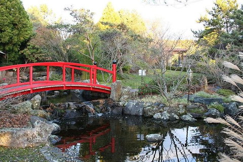 Small-group Tour From Hobart: Native Flora And Fauna, Incl. Royal Bot. Gardens - Palm Beach Accommodation 0