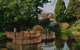 Small-group Tour From Hobart: Native Flora And Fauna, Incl. Royal Bot. Gardens - thumb 2