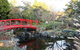 Small-group Tour From Hobart: Native Flora And Fauna, Incl. Royal Bot. Gardens - thumb 9
