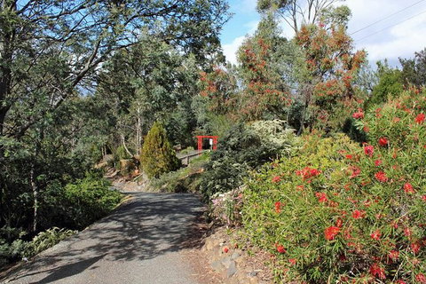 Small-group Tour From Hobart: Native Flora And Fauna, Incl. Royal Bot. Gardens - Palm Beach Accommodation 11
