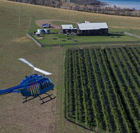 Bangor Vineyard Shed Helicopter Tour - Palm Beach Accommodation