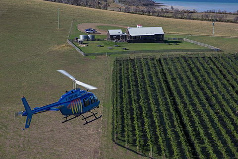 Bangor Vineyard Shed Helicopter Tour - Palm Beach Accommodation 0