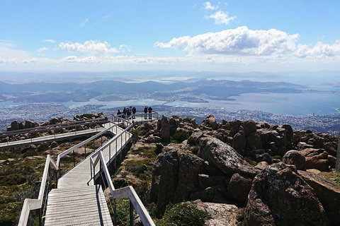 Kunany / Mt Wellington Explorer Bus - 2 Hour Return Tour - Palm Beach Accommodation 1