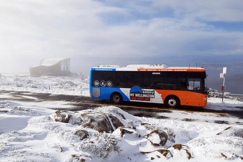 Kunany / Mt Wellington Explorer Bus - 2 Hour Return Tour - Palm Beach Accommodation 7