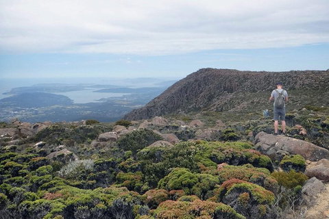 Kunany / Mt Wellington Explorer Bus - 2 Hour Return Tour - Palm Beach Accommodation 4