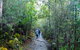 Kunany / Mt Wellington Explorer Bus - 2 Hour Return Tour - thumb 5