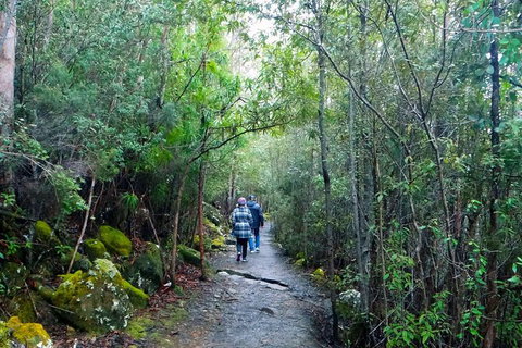 Kunany / Mt Wellington Explorer Bus - 2 Hour Return Tour - Palm Beach Accommodation 5
