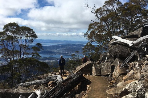 Kunany / Mt Wellington Explorer Bus - 2 Hour Return Tour - Palm Beach Accommodation 9