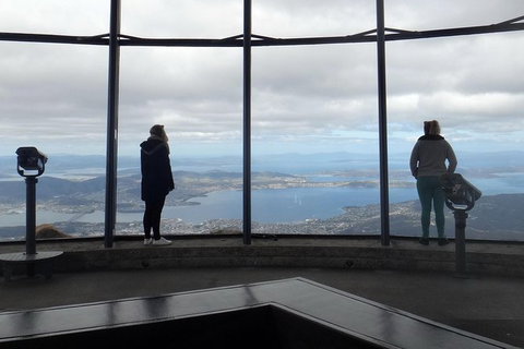 Kunany / Mt Wellington Explorer Bus - 2 Hour Return Tour - Palm Beach Accommodation 8