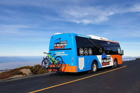 Kunany / Mt Wellington Explorer Bus - 2 Hour Return Tour - Palm Beach Accommodation 3