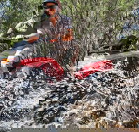 Quad Bike 2-Hour Adventure Freycinet National Park - Palm Beach Accommodation