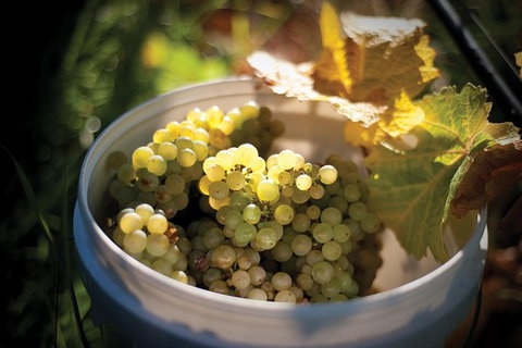 Private Richmond Food And Wine Day Trip From Hobart - Palm Beach Accommodation 1