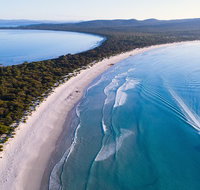 Maria Island Cruise  Walk. Renowned day tour with drinks and guided walk - Palm Beach Accommodation