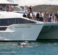 The Peppermint Bay Lunch Cruise from Hobart - Palm Beach Accommodation
