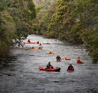 Meander Wilderness Experiences - Palm Beach Accommodation