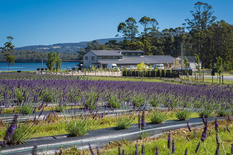 Private Tasman Peninsula Cruise Ship Tour From Port Arthur - Palm Beach Accommodation 0