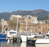 Private Mt Wellington Richmond Bonorong Wildlife Sanctuary Tour from Hobart - Palm Beach Accommodation