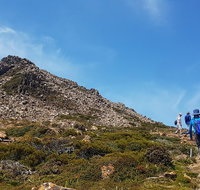Hartz Peak Hiking Tour - Hartz Mountains National Park - Palm Beach Accommodation