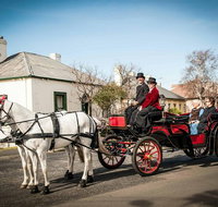 Trot Through Time - Palm Beach Accommodation