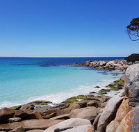 Tasmania 4 Day East Coast  Launceston - Palm Beach Accommodation