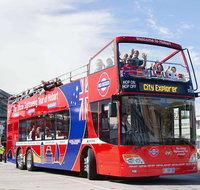 Kunanyi/Mt Wellington Tour  Hobart Hop-On Hop-Off Bus - Palm Beach Accommodation