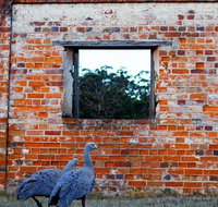 Private Maria Island Hiking tour with Gourmet Lunch - Palm Beach Accommodation