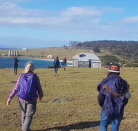 4-Day Hobart Adventure Tour Maria Island Cape Raoul Mount Field Cape Hauy - Palm Beach Accommodation
