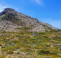 3-Day Hobart Adventure Tour Mount Field Cape Hauy and Hartz Peak - Palm Beach Accommodation