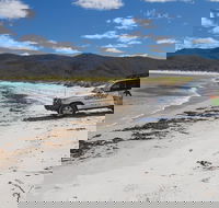 4X4 and Lunch Half Day Bicheno Coastal Mountain - Palm Beach Accommodation