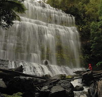 Guided Shore Excursion Mt Field National Park Salmon Ponds Bonorong Wildlife - Palm Beach Accommodation