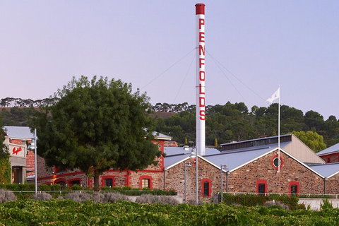 Ultimate Penfolds Magill Estate Experience - Palm Beach Accommodation 3