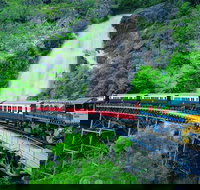Full-Day Tour with Kuranda Scenic Railway Skyrail Rainforest Cableway and Hartley's Crocodile Adventures from Cairns - Palm Beach Accommodation