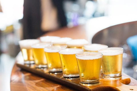 XXXX Brewery Tour - Palm Beach Accommodation 9