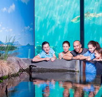 Reef HQ Great Barrier Reef Aquarium General Entry Ticket - Palm Beach Accommodation