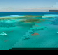 Great Barrier Reef Dive and Snorkel Cruise from Mission Beach - Palm Beach Accommodation