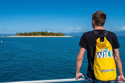 Half Day Low Isles Snorkelling Tour From Port Douglas - Palm Beach Accommodation 1