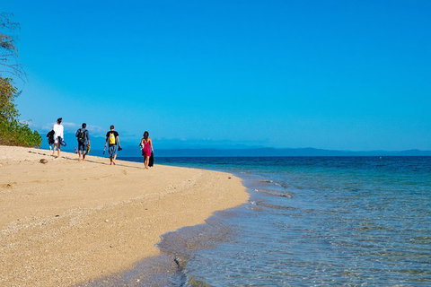 Half Day Low Isles Snorkelling Tour From Port Douglas - Palm Beach Accommodation 3