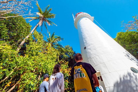 Half Day Low Isles Snorkelling Tour From Port Douglas - Palm Beach Accommodation 7