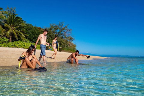 Half Day Low Isles Snorkelling Tour From Port Douglas - Palm Beach Accommodation 2