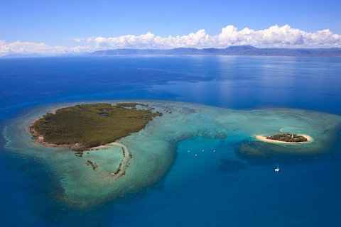 Half Day Low Isles Snorkelling Tour From Port Douglas - Palm Beach Accommodation 4