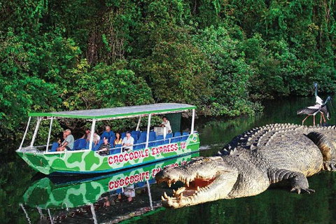 Daintree River Cruise - Palm Beach Accommodation 7