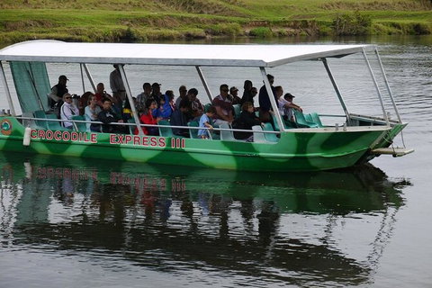 Daintree River Cruise - Palm Beach Accommodation 2