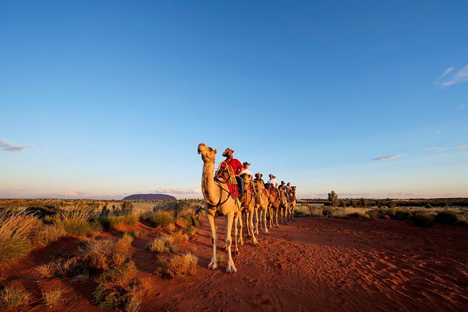 Ayers Rock NT Palm Beach Accommodation