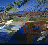 Palm Valley 4WD Tour - Palm Beach Accommodation