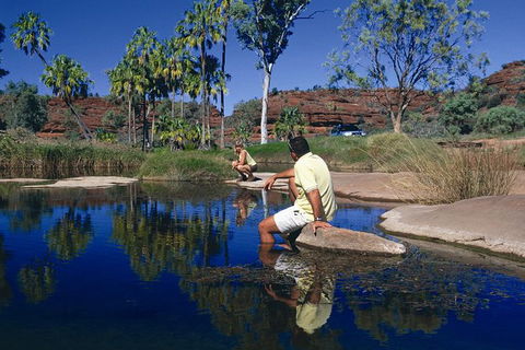 Palm Valley 4WD Tour - Palm Beach Accommodation 0