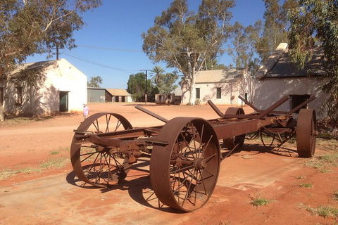 Palm Valley 4WD Tour - Palm Beach Accommodation 1