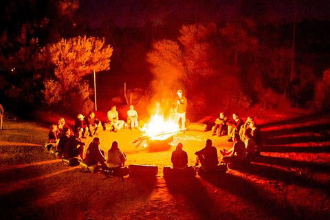 4-Day Red Centre Camping Safari From Alice Springs Or Ayers Rock Including Kings Canyon - Palm Beach Accommodation 0
