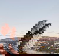 Alice Springs Highlights Half-Day Tour - Palm Beach Accommodation
