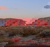 3-Day Uluru Camping Tour from Alice Springs Including Kata Tjuta and Kings Canyon - Palm Beach Accommodation
